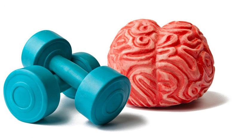 Doing exercise regularly is helpful for your brain.